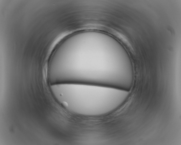 X0000115651275200911101109