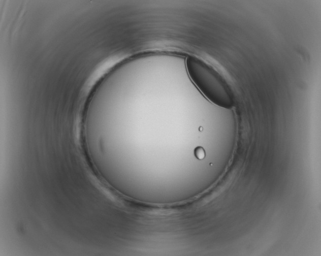 X0000115651277200911101109