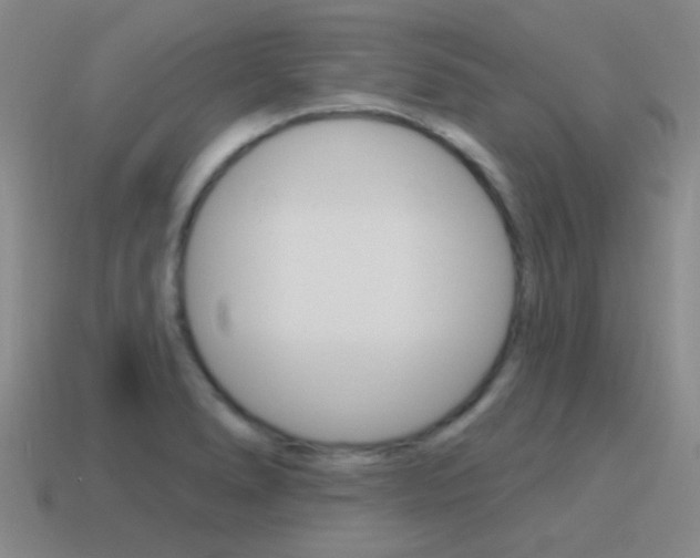 X0000115651278200911101109