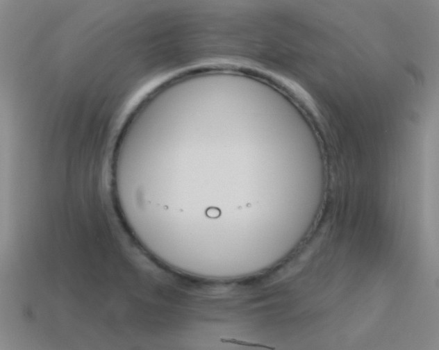 X0000115651279200911101109