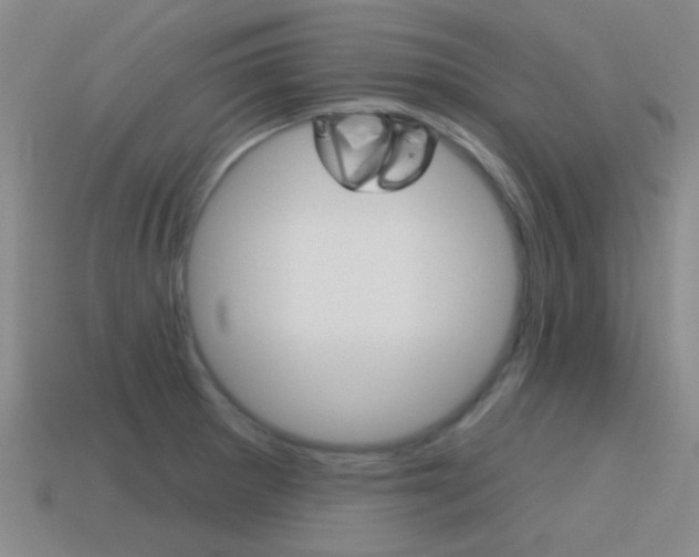 X0000115651281200911101109