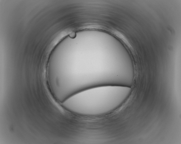 X0000115651282200911101109
