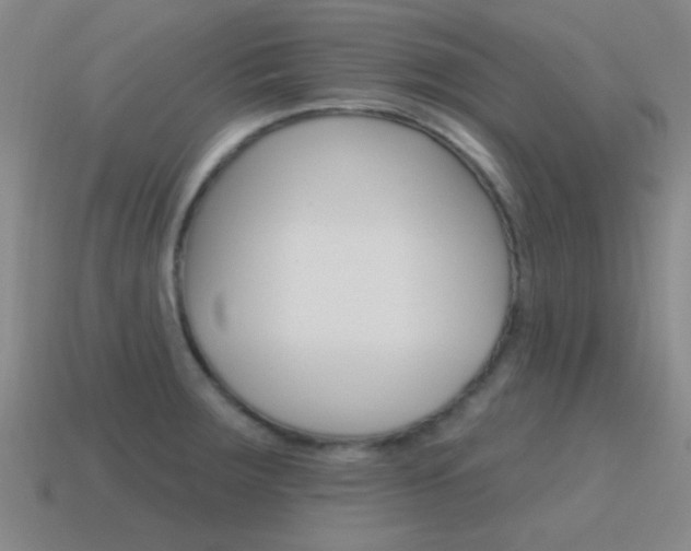 X0000115651283200911101109