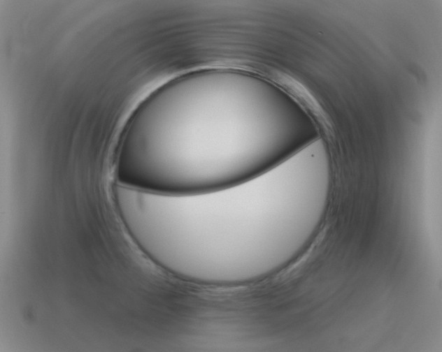 X0000115651284200911101109