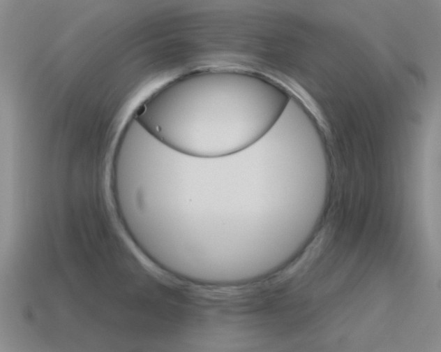 X0000115651285200911101109