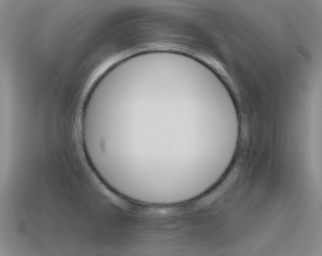 X0000115651286200911101109