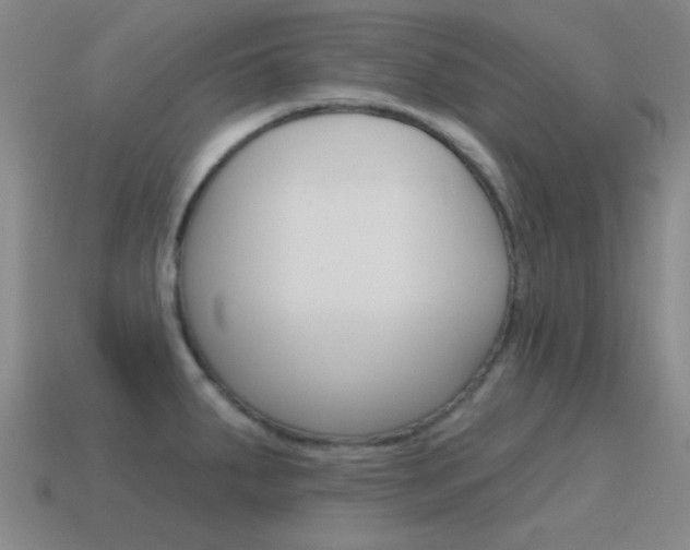 X0000115651287200911101109