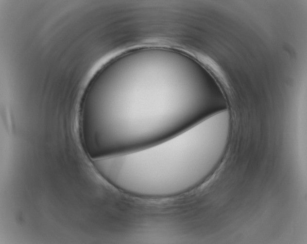 X0000115651288200911101109