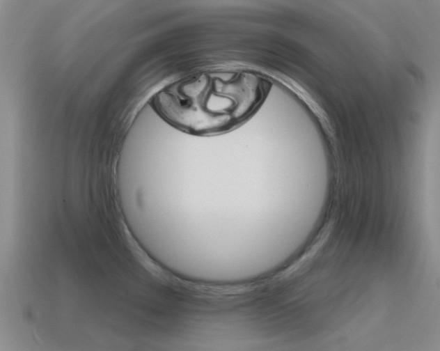 X0000115651289200911101109