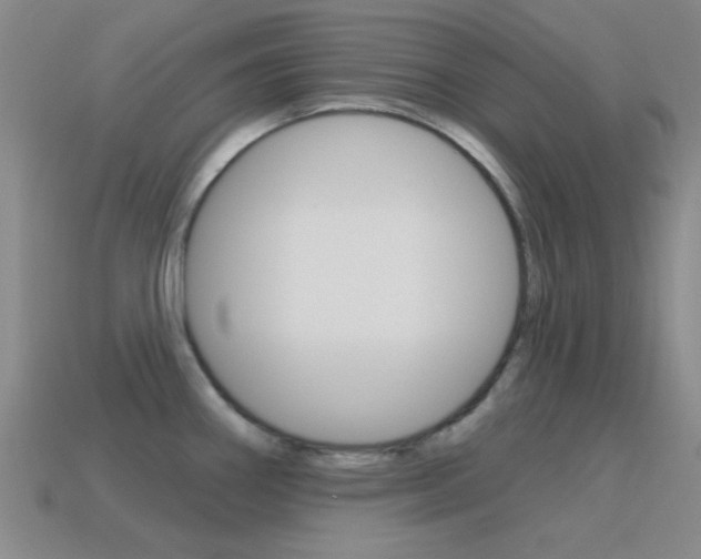 X0000115651290200911101109