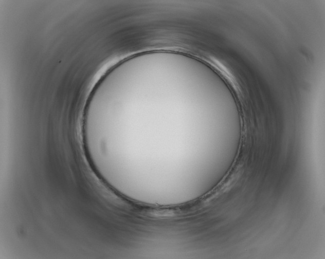 X0000115651291200911101109