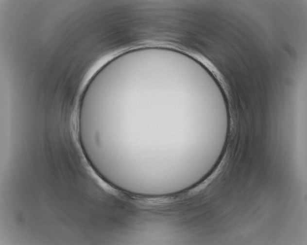 X0000115651294200911101109