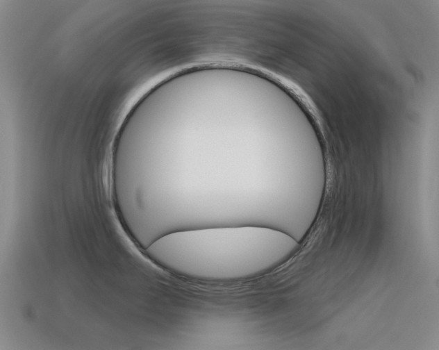 X0000115651295200911101109