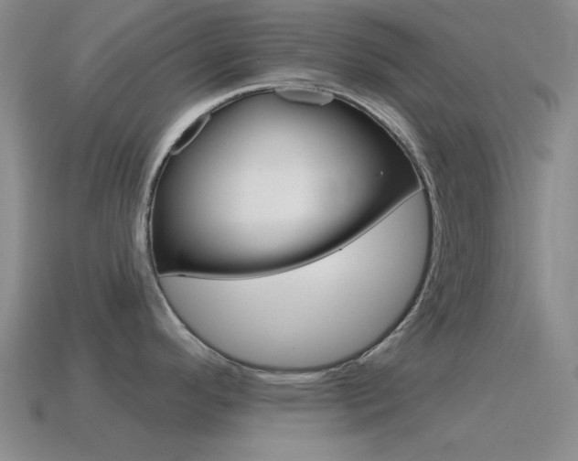 X0000115651296200911101109