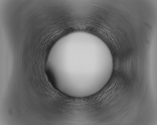 X0000115651297200911101108