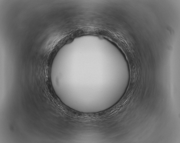 X0000115651301200911101108