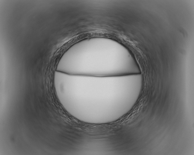 X0000115651303200911101108