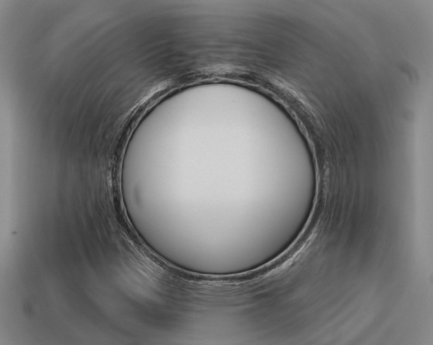 X0000115651305200911101108