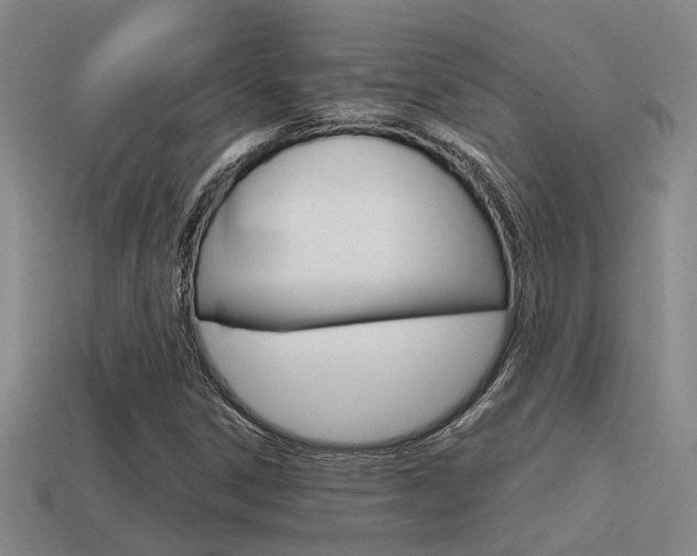 X0000115651306200911101108