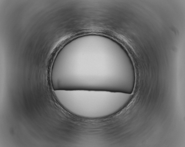 X0000115651307200911101108