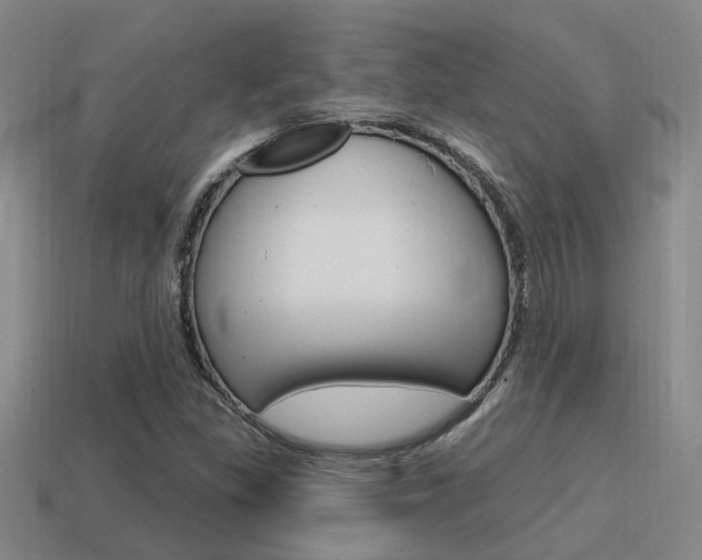 X0000115651309200911101108