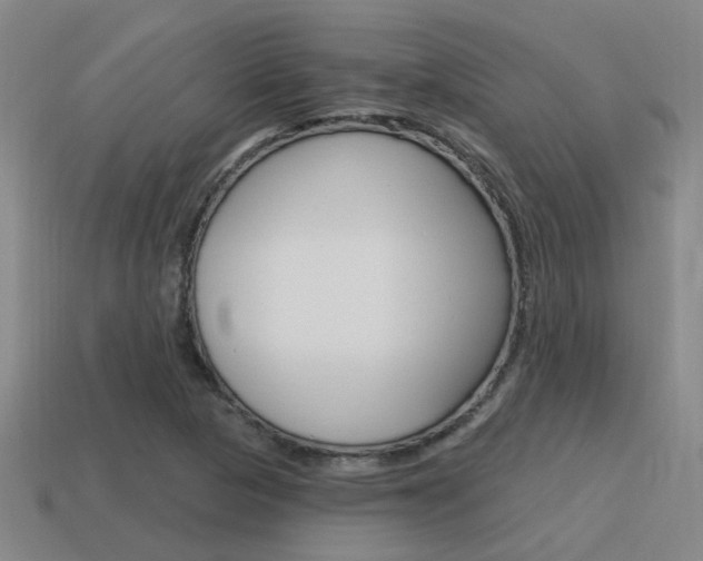 X0000115651313200911101108