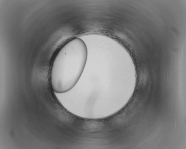 X0000115651314200911101108