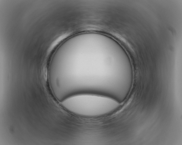 X0000115651317200911101108