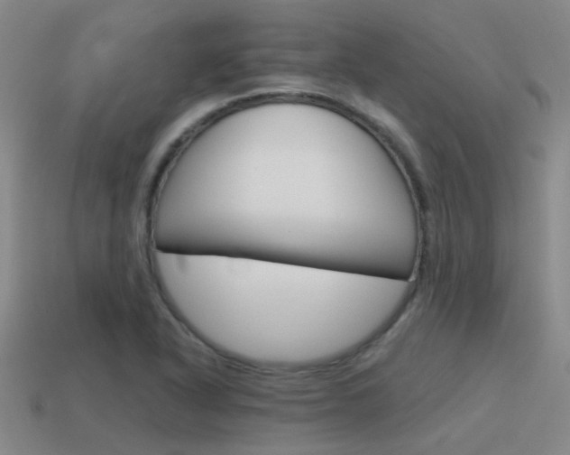 X0000115651318200911101108