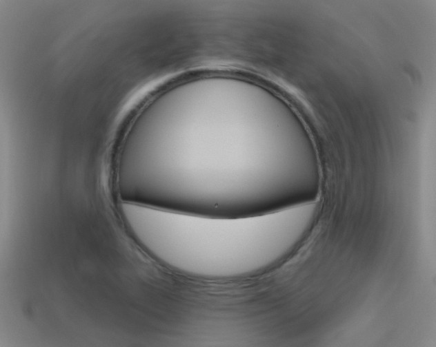X0000115651319200911101108