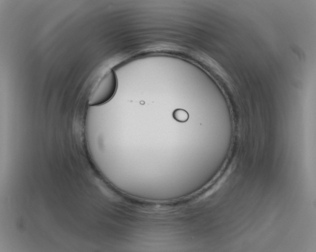 X0000115651321200911101108