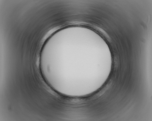 X0000115651322200911101108