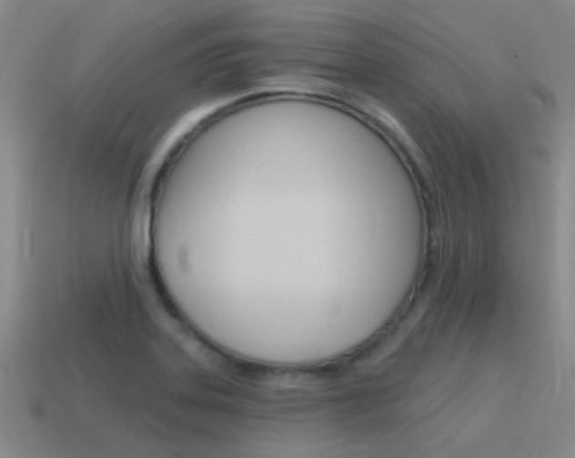X0000115651323200911101108