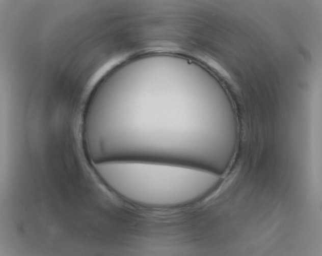 X0000115651325200911101108