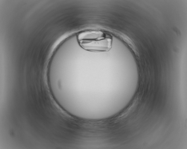 X0000115651326200911101108