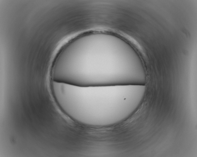 X0000115651327200911101108