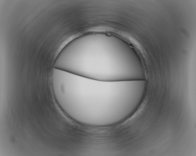 X0000115651329200911101108