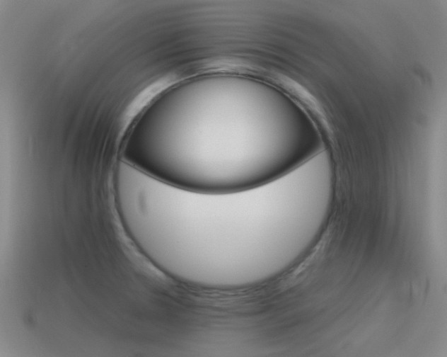 X0000115651330200911101108