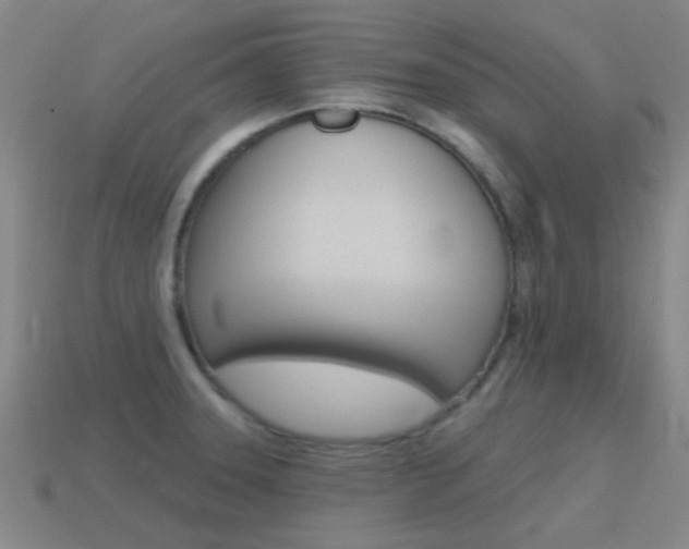 X0000115651331200911101108
