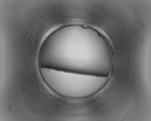 X0000115651333200911101108