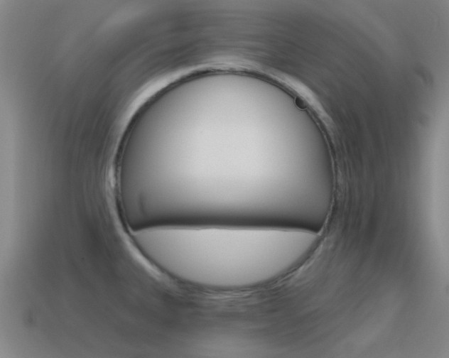 X0000115651335200911101108