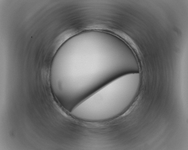 X0000115651337200911101108