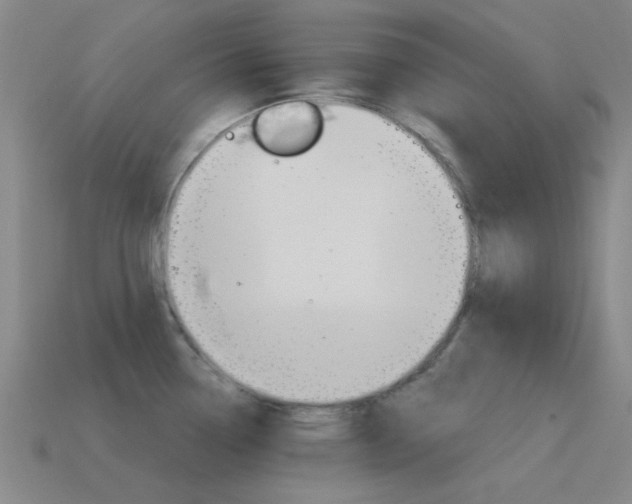 X0000115651338200911101108