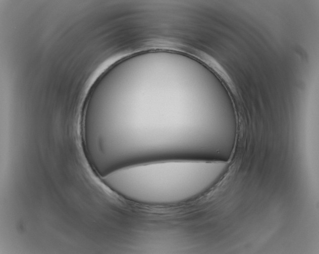 X0000115651339200911101108