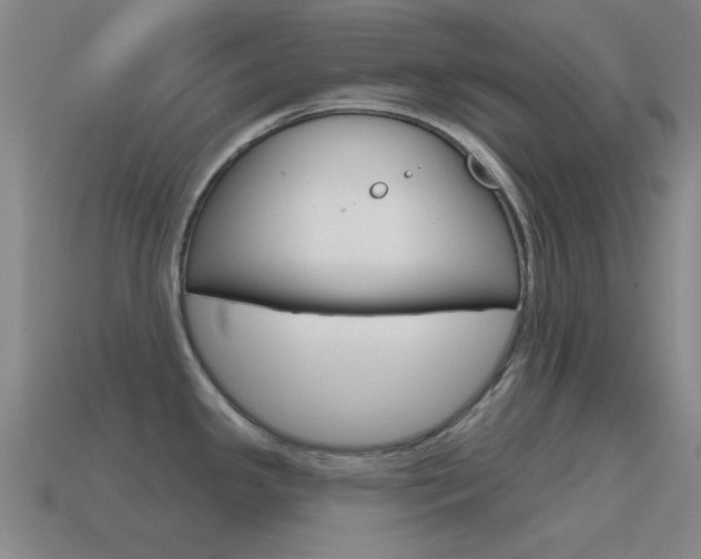 X0000115651341200911101109