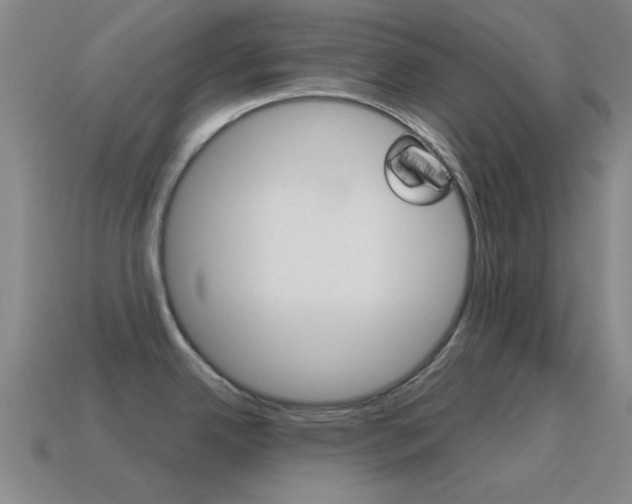 X0000115651342200911101109