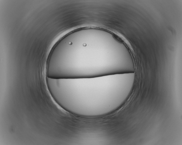 X0000115651343200911101109