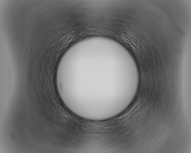 X0000115651345200911101108