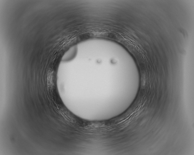 X0000115651346200911101108