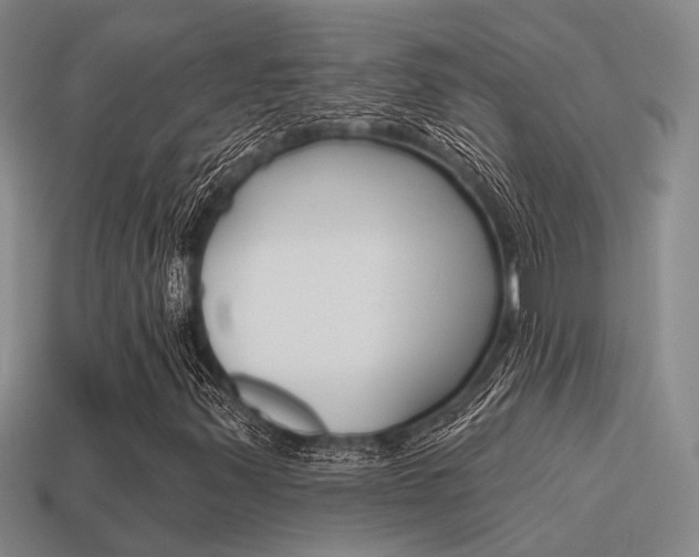 X0000115651347200911101108
